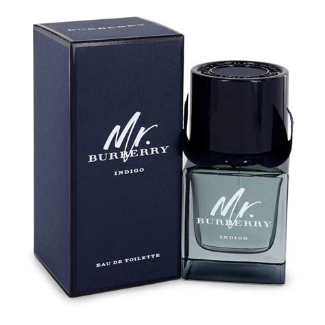 burberry herren parfum indigo|mr Burberry indigo 50ml.